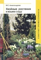 Хвойные растения в вашем саду артикул 11491a.